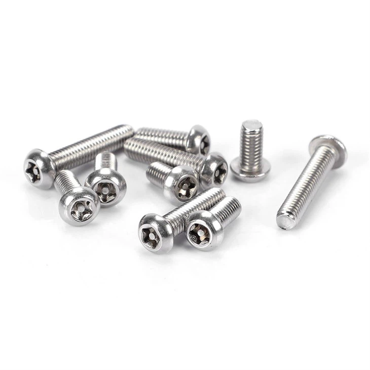 Tamper Resistant Screws